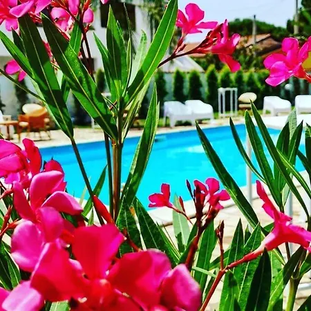 Etoiles Luxury Bed & Breakfast 4*